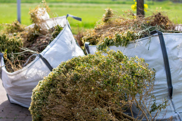 Best Dumpster Rental Services  in Summit Hill, PA